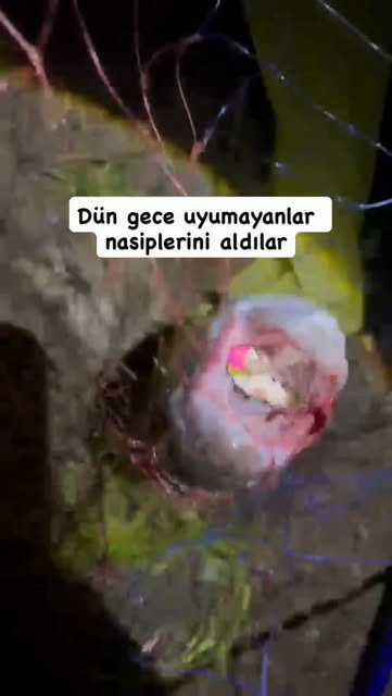 Av Malzemeleri 08 Instagram paylaşımı