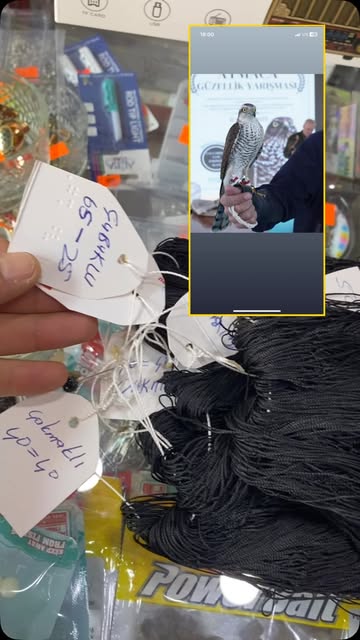 Hazır Alabalık Takımı